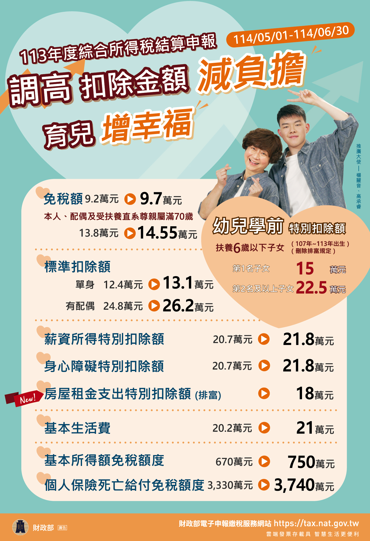 113年度綜合所得稅申報